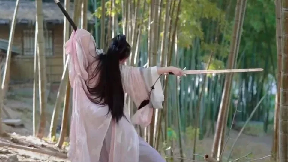 侠女逍遥录 游戏图鉴截图 03